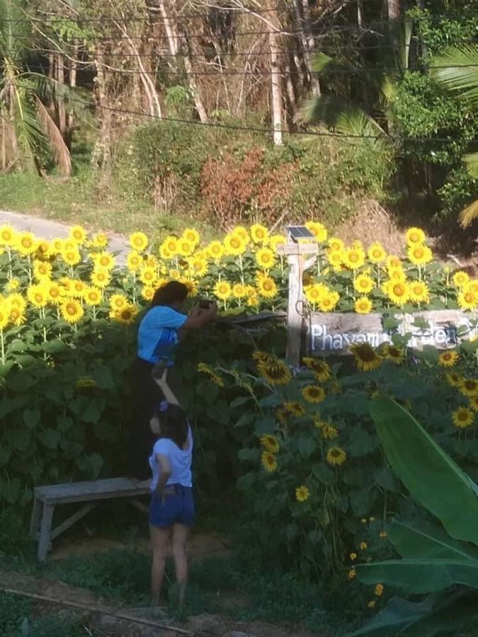Phayam Garden View Ξενοδοχείο Koh Phayam Εξωτερικό φωτογραφία