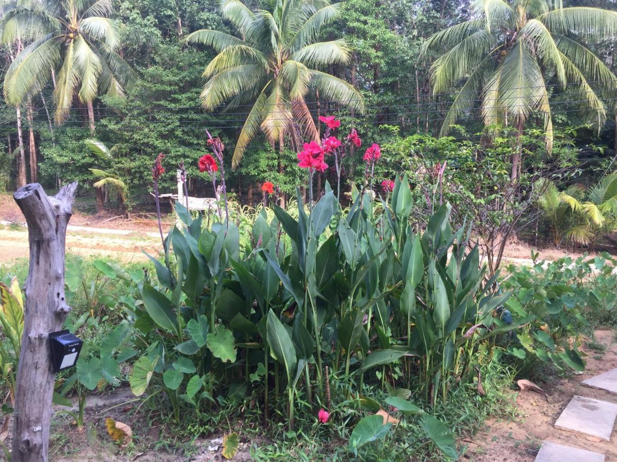 Phayam Garden View Ξενοδοχείο Koh Phayam Εξωτερικό φωτογραφία