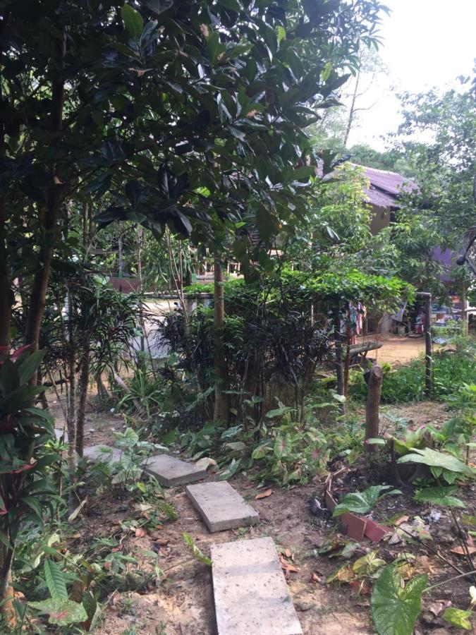 Phayam Garden View Ξενοδοχείο Koh Phayam Εξωτερικό φωτογραφία